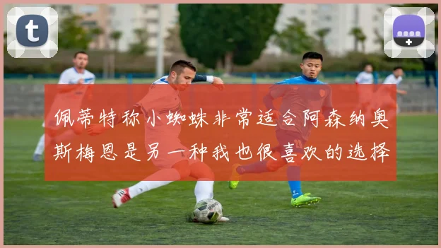 佩蒂特称小蜘蛛非常适合阿森纳奥斯梅恩是另一种我也很喜欢的选择